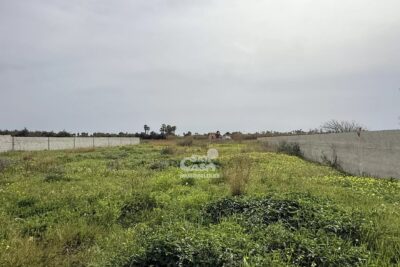 Maison à vendre à Marsala