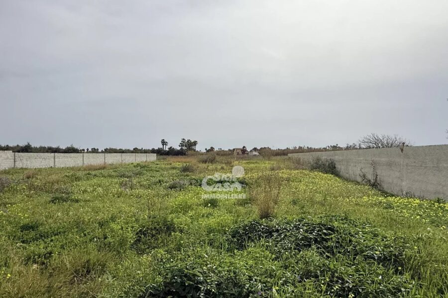 Maison à vendre à Marsala — Vue nature — photo 1