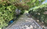 Maison à vendre à Roquefort-les-Pins — Vue parc & jardin — photo 19