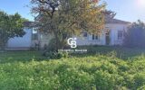 Maison à vendre à Salignac-sur-Charente — Vue parc & jardin — photo 24