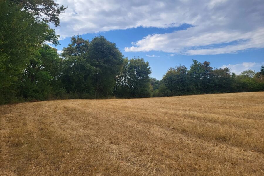 Maison à vendre à Biches — Vue montagne — photo 14