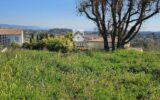 Terrain à vendre à Valbonne — Vue montagne — photo 5
