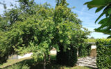 Maison à vendre à Écuras — Vue nature — photo 13
