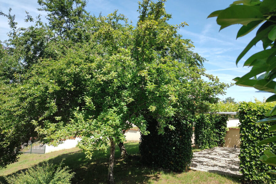 Maison à vendre à Écuras — Vue nature — photo 13
