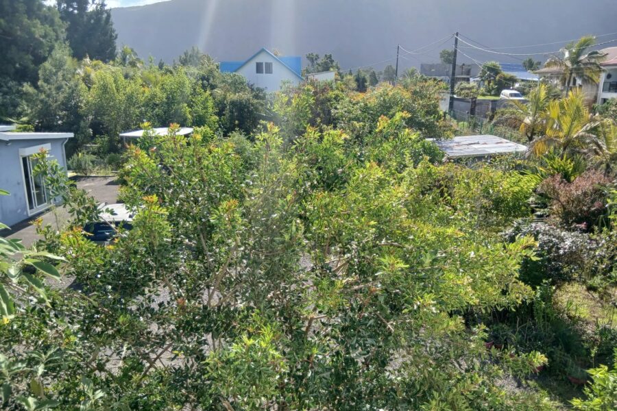 Terrain à vendre à Saint-Joseph — Vue montagne — photo 2