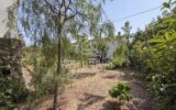 Maison à vendre à Cannes — Vue parc & jardin — photo 12