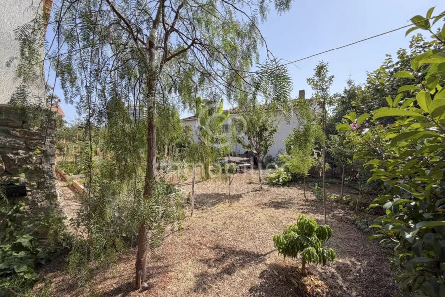 Maison à vendre à Cannes — Vue parc & jardin — photo 12