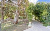 Appartement à louer à Cannes — Vue nature — photo 14