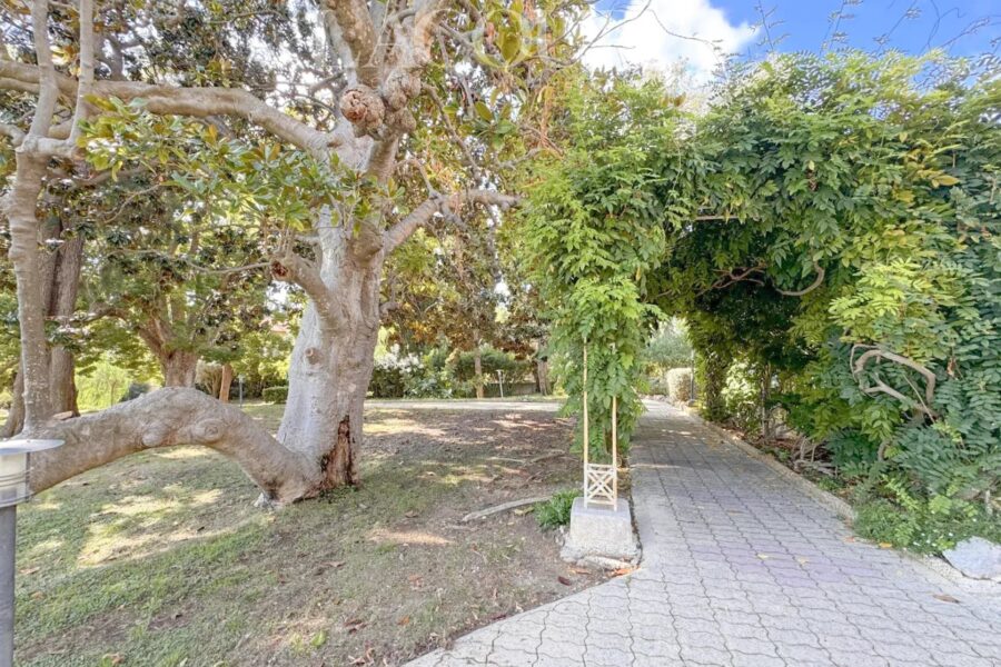 Appartement à louer à Cannes — Vue nature — photo 14