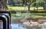 Maison à vendre à Mougins — Vue golf — photo 10