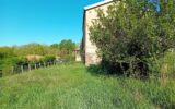 Maison à vendre à Carmaux — Vue nature — photo 3