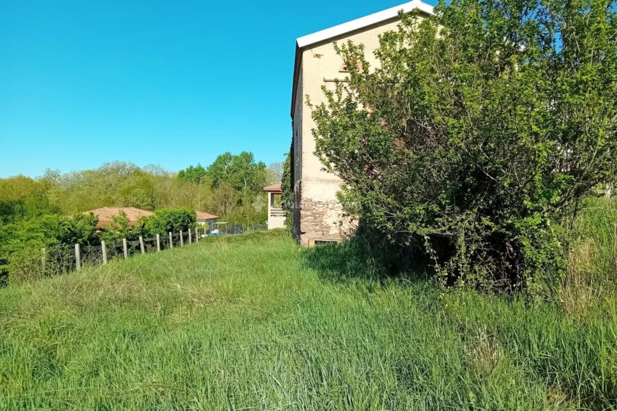 Maison à vendre à Carmaux — Vue nature — photo 3