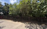 Terrain à vendre à Cayenne — Vue dégagée — photo 2