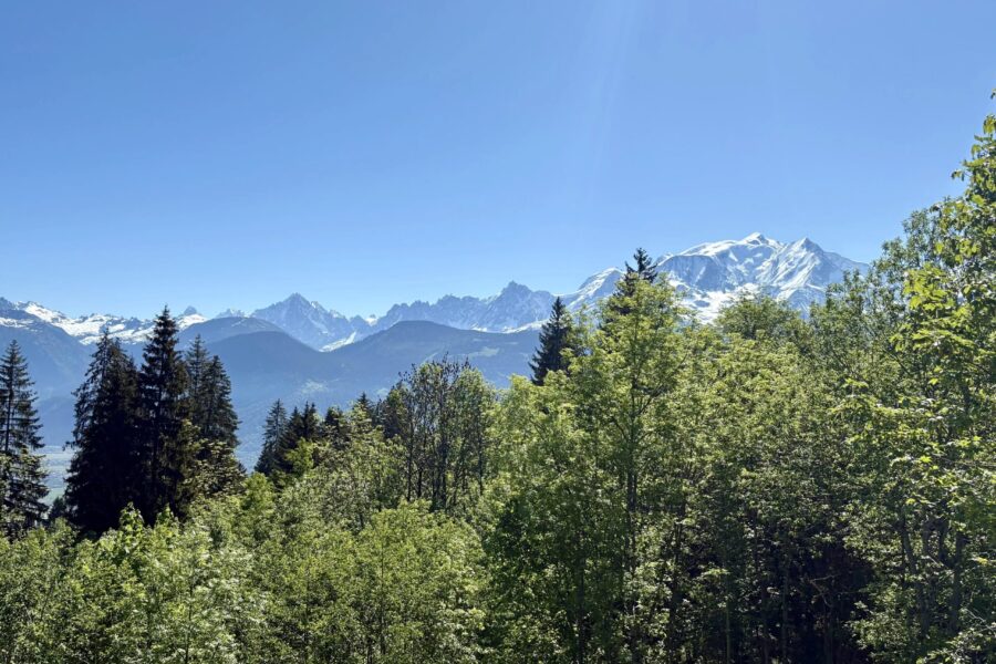 Appartement à vendre à Combloux — Vue montagne — photo 1