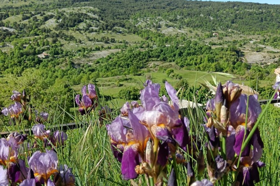 Maison à vendre à Coursegoules — Vue nature — photo 9