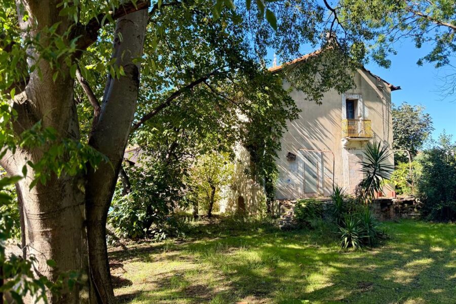 Maison à vendre à Montpellier — Vue parc & jardin — photo 12