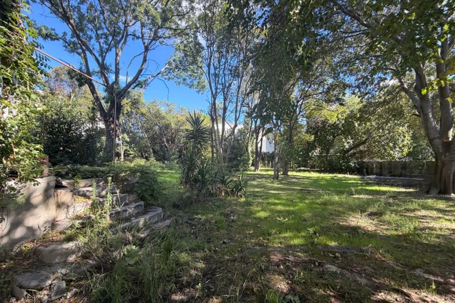 Maison à vendre à Montpellier — Vue parc & jardin — photo 9
