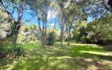 Maison à vendre à Montpellier — Vue parc & jardin — photo 11