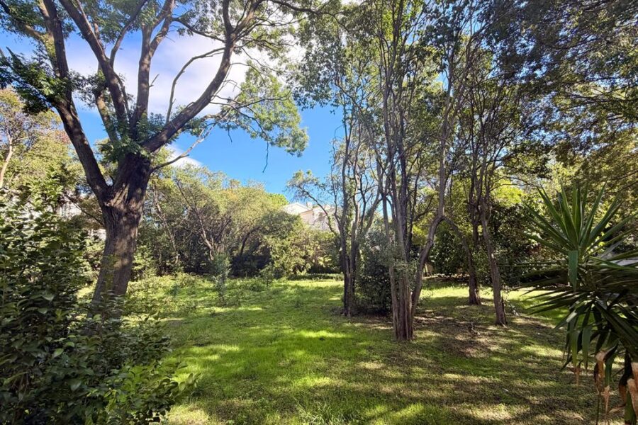 Maison à vendre à Montpellier — Vue parc & jardin — photo 13