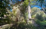 Maison à vendre à Montpellier — Vue parc & jardin — photo 18