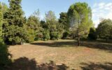 Maison à vendre à Montpellier — Vue parc & jardin — photo 13