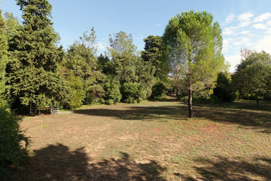 Maison à vendre à Montpellier — Vue parc & jardin — photo 13