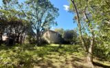 Maison à vendre à Montpellier — Vue parc & jardin — photo 14