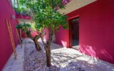 Maison à vendre à Montpellier — Vue nature — photo 28