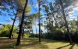 Maison à vendre à Montpellier — Vue parc & jardin — photo 2