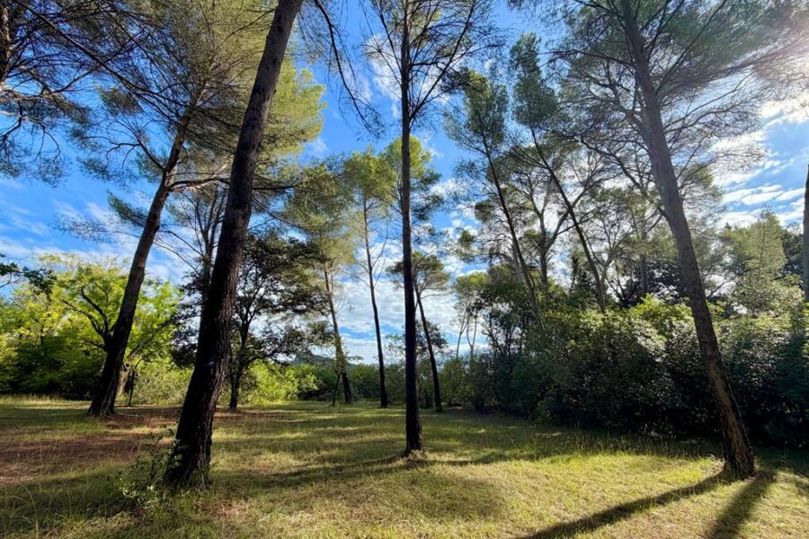 Maison à vendre à Montpellier — Vue parc & jardin — photo 2