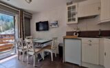 Appartement à vendre à Châtel — Vue montagne — photo 4