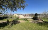 Maison à vendre à Saint-Émilion — Vue vignes — photo 21