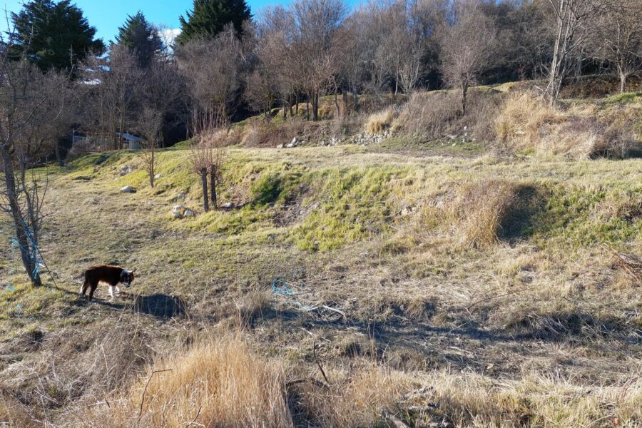 Terrain à vendre à Coursegoules — Vue nature — photo 2