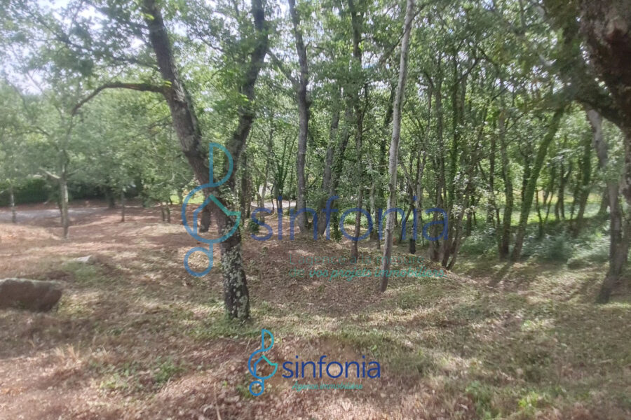 Terrain à vendre à Pougnadoresse — photo 2