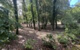 Maison à vendre à Saint-Léger-de-Fougeret — Vue nature — photo 42