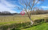 Maison à vendre à Riscle — Vue montagne — photo 23