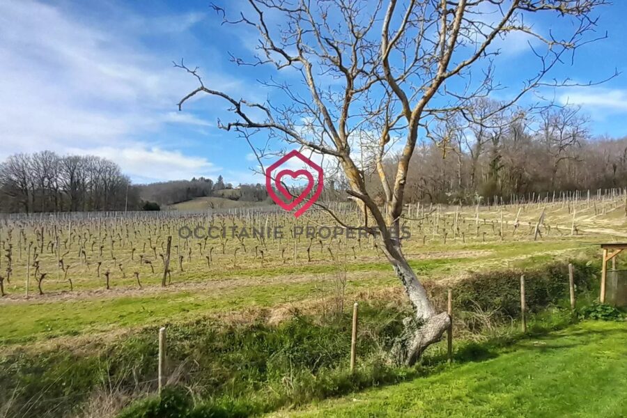 Maison à vendre à Riscle — Vue montagne — photo 23