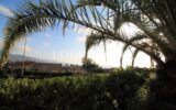 Appartement à vendre à Roquebrune-Cap-Martin — Vue mer — photo 15