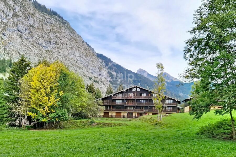 Appartement à vendre à Abondance — Vue nature — photo 10