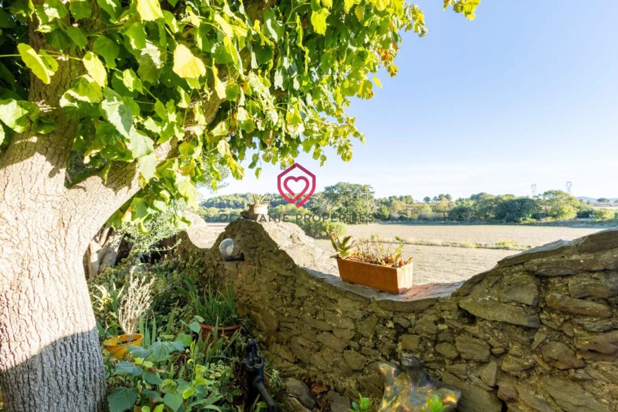 Maison à vendre à Carcassonne — Vue nature — photo 19