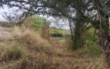 Maison à vendre à Moulins-Engilbert — Vue nature — photo 21