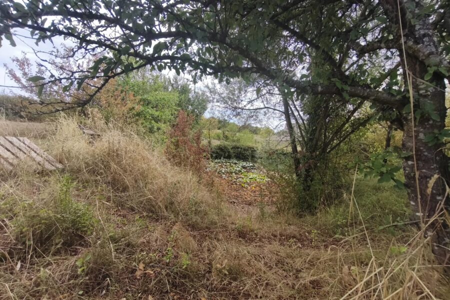 Maison à vendre à Moulins-Engilbert — Vue nature — photo 21