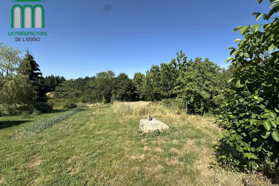 Maison à vendre à Lapte — Vue nature — photo 16