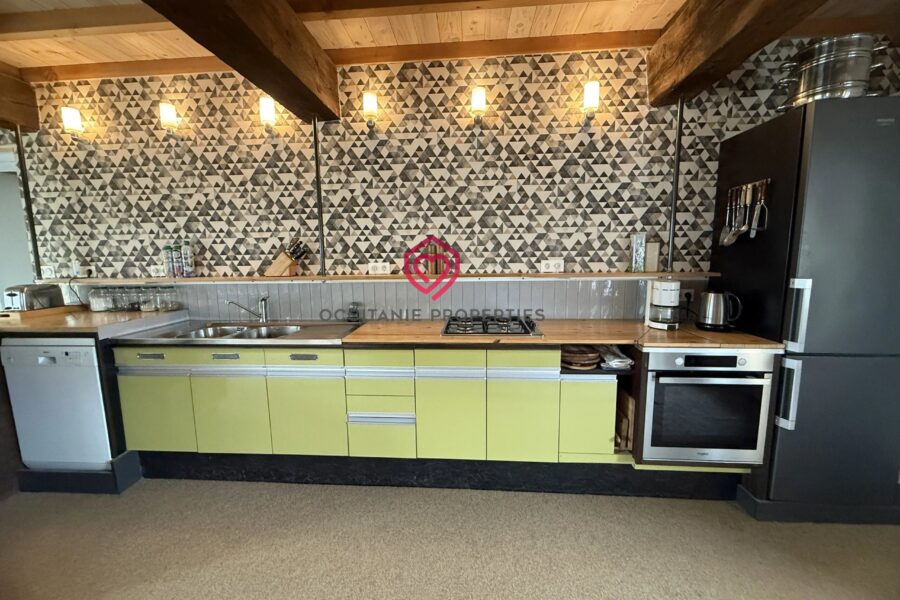 Maison à vendre à Arzens — Vue montagne — photo 39