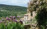Maison à vendre à Coursegoules — Vue nature — photo 8
