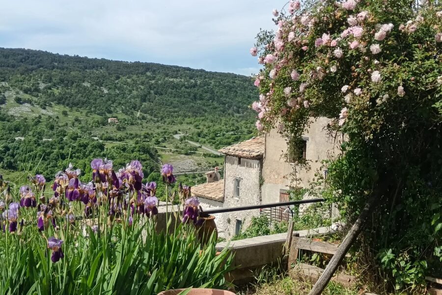 Maison à vendre à Coursegoules — Vue nature — photo 8