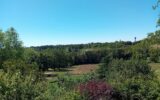 Maison à vendre à Mirandol-Bourgnounac — Vue nature — photo 19