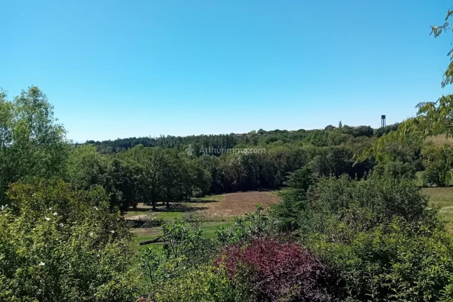 Maison à vendre à Mirandol-Bourgnounac — Vue nature — photo 19