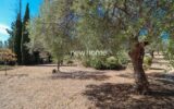 Maison à vendre à Fayence — Vue montagne — photo 16