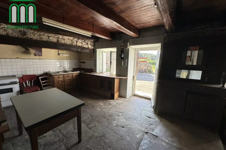 Maison à vendre à Lapte — Vue nature — photo 13